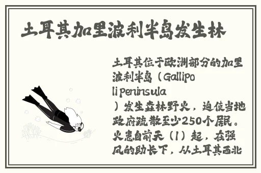 啦啦啦资源视频在线观看8免费